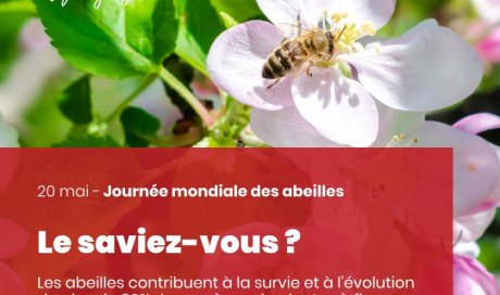 Célébrons la journée mondiale des abeilles